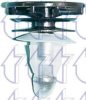 RENAU 7703077243 Clip, trim/protective strip